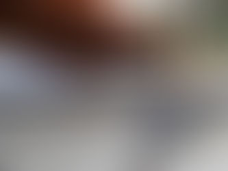 «TAMA» MISTERIO EN LA FRONTERA