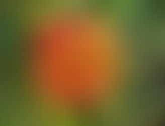 MAS CERCA por TERESA ANTEQUERA