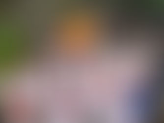 GUAGUAS PARA LA FIESTA