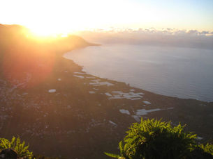 CANARIAS+VIVIENDAS x FAMILIAS