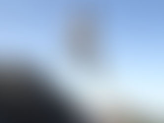 EXHIBICIÓN DEL SALTO DEL PALO