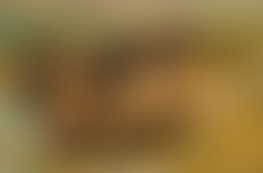 ENFERMEDADES DE LA CIVILIZACIÓN