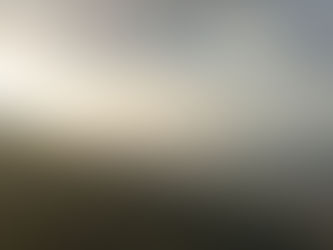 PARRANDEA SABINOSA 2022