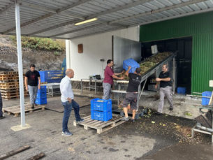 nuevas plantaciones, planificada inversión