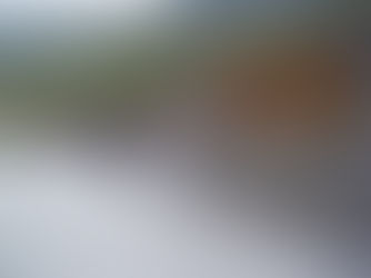 EL AYUNTAMIENTO REABRE