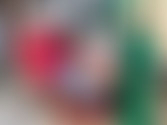 CAMPAÑA CARNAVAL DORADA 2019