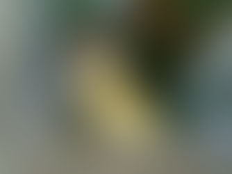 EL JUACLO, SÁBADO 6 DE JULIO