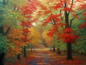 SIEMBRA Y COSECHA por JOSE VICENTE COBO