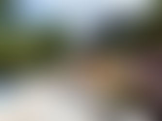 MEJORA PAISAJÍSTICA