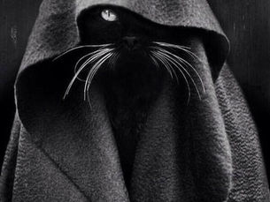 CLASISTAS Y DESCLASIFICADOS por María Elena Moreno