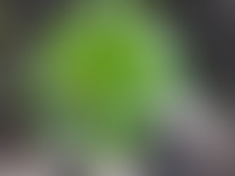 ES DULCE LA SOLEDAD por Mª Elena Moreno.