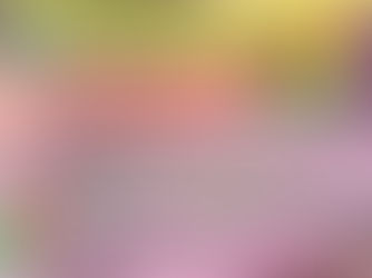 II FESTIVAL DE NARRACIÓN ORAL