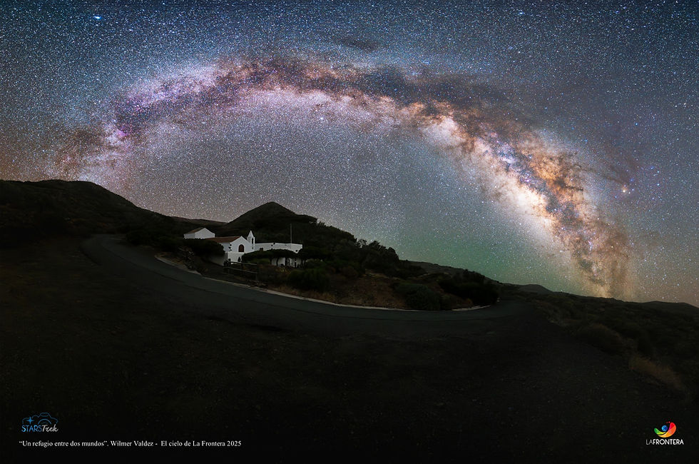 ARAI ALONSO, GANADOR