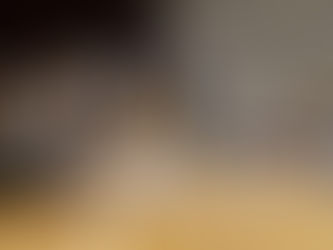 MEDIDAS DEL GOBIERNO CANARIO CONTRA «EL CORONA»