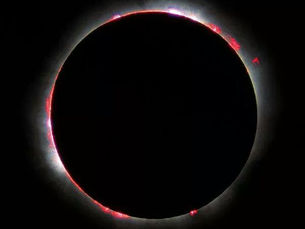 LA TÓMBOLA DE LA MUERTE, por Mª Elena Moreno.