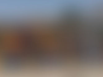 PREVENCIÓN EN EL PINAR