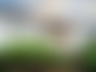 LA FRONTERA Y NUEVO PLAN DE EMPLEO