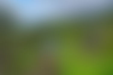 MARATÓN DEL MERIDIANO NAVIERA ARMAS