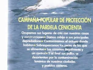 CAMPAÑA PROTECCIÓN DE LA PARDELA