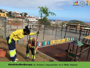 UN ÁRBOL POR EUROPA