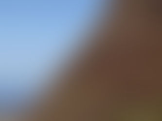 COMPROMISO MEDIOAMBIENTAL