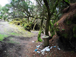 EL AYUNTAMIENTO SE SUMA AL PROYECTO «LIBERA»