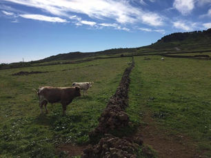 RETROCEDAMOS por Mª Elena Moreno