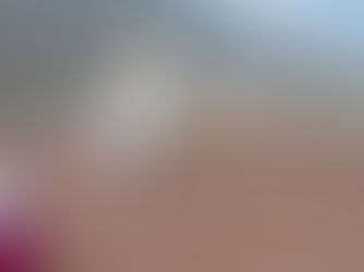 VISTOSIDAD DE LAS PROCESIONES