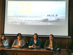 VI EDICIÓN INSULARIA, ISLAS EN RED