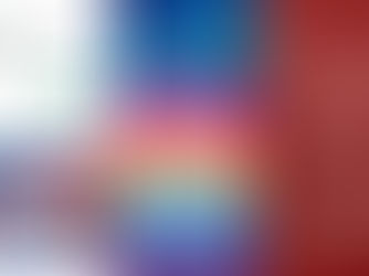 «VIVA LAS FIESTAS DE LA FRONTERA»