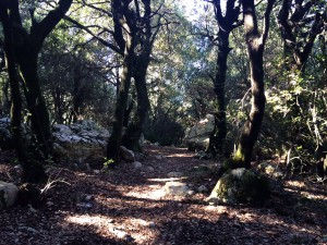 CARLOS GAVILÁN BATISTA Y SU INFORME SOBRE EL ALZHEIMER