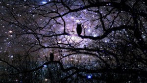 ¿HAN SIDO CRUCIFICADAS…por JOSE VICENTE COBO