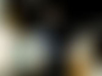 JAVIER ARMAS, SENADOR