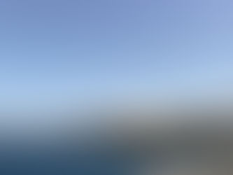 TORRES REITERA SU DEFENSA