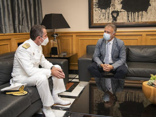 RECIENTEMENTE INCORPORADOS