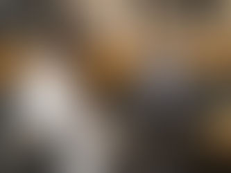 RECIENTEMENTE INCORPORADOS