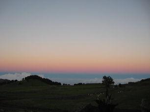PRESENTACIÓN DE LA XV EDICIÓN DEL MARATÓN