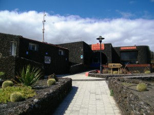 LA MACETA ADJUDICADA