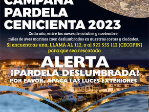 ATENCIÓN A LA PARDELA CENICIENTA 2023