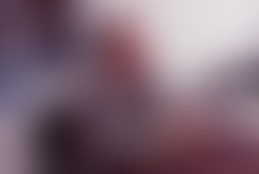 EL PINAR PLAN EXTRAORDINARIO DE EMPLEO SOCIAL