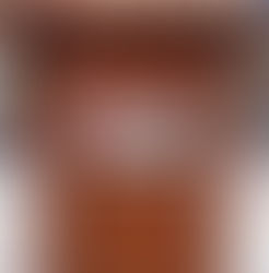 EXPOSITOR EN LA RAMBLA