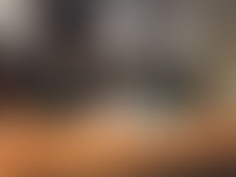 REVISIÓN PARCIAL PGO