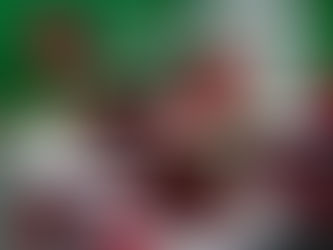 DESAYUNO CON PLÁCIDO DOMINGO ….