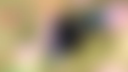 DONDE QUIERA….Por Melvin Zamorano