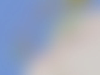 JAVIER ARMAS PREGUNTA