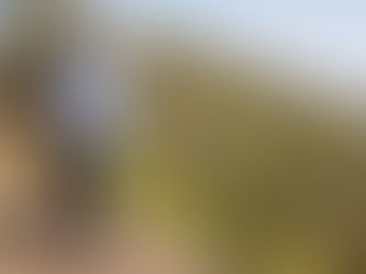 NARVAY QUINTERO.- ENMIENDAS