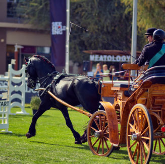 Outdoor events photo