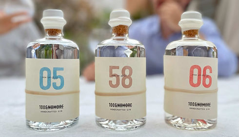 100&NOMORE - 3 gins_edited.jpg