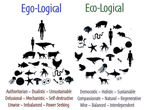 Del Estado Nación al Estado de la Natura