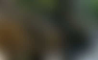 Finding your Freedom